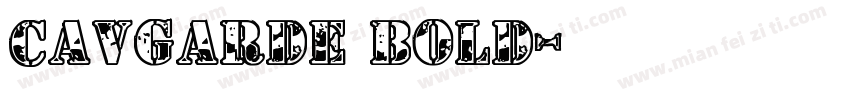 CAVGarde Bold字体转换